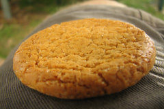 Diet biscuit orange proteilignemarket for adults