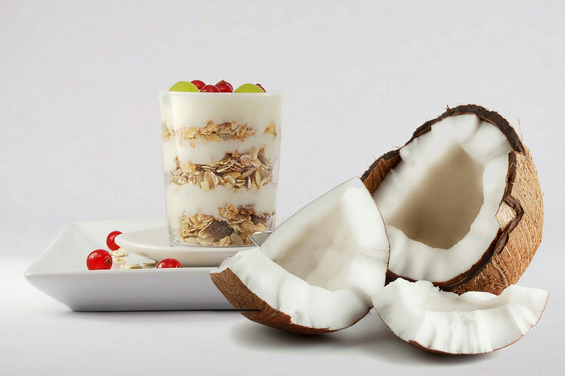 Diet entremet noix de coco proteilignemarket for adults
