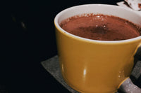 UHT boisson chocolat (bouteille)